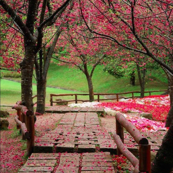 Meet your Posher, Julia - Picture 1 of 1